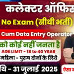 Collector Office Recruitment