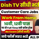 Dish TV Work From Home Vacancy