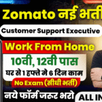 Zomato Work From Home Recruitment