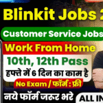 Blinkit Work From Home Job
