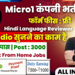 Micro1 Work From Home Job