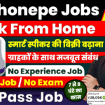 Phonepe Work From Home Job