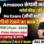 Amazon Work From Home Bharti