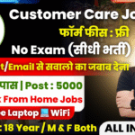Customer Care Work From Home Job